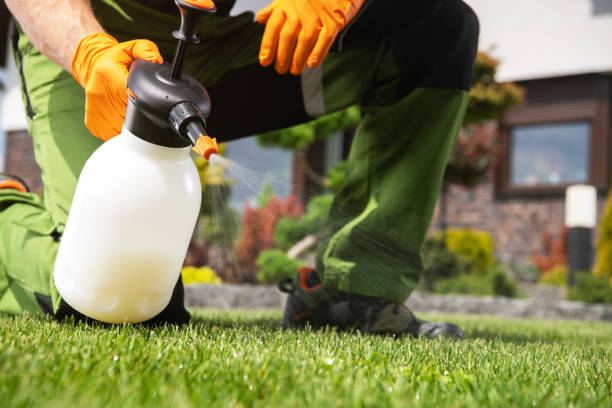 Best Best Pest Control Companies  in Harrisville, PA