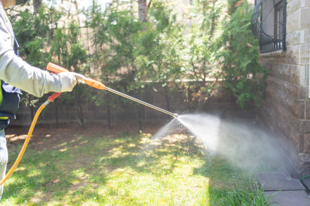 Best Insect Control  in Harrisville, PA