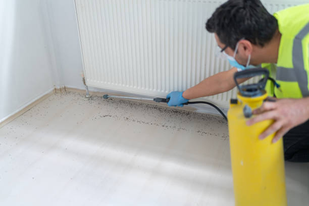 Best Pest Control Near Me in Harrisville, PA