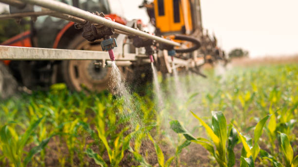 Best Pest Control Treatment  in Harrisville, PA
