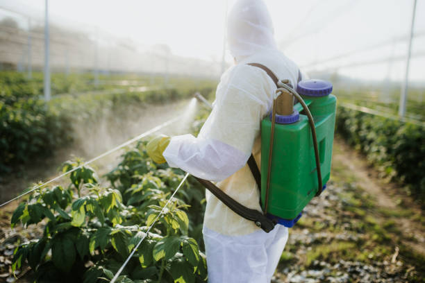Flea Control Services in Harrisville, PA